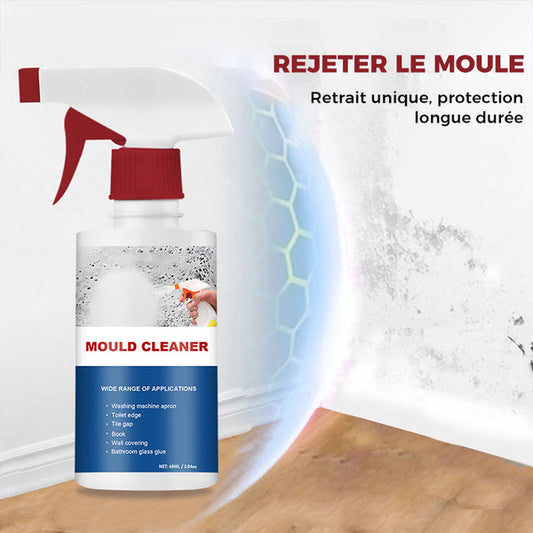 MOUSSE NETTOYANTE ANTI-MOISISSURE